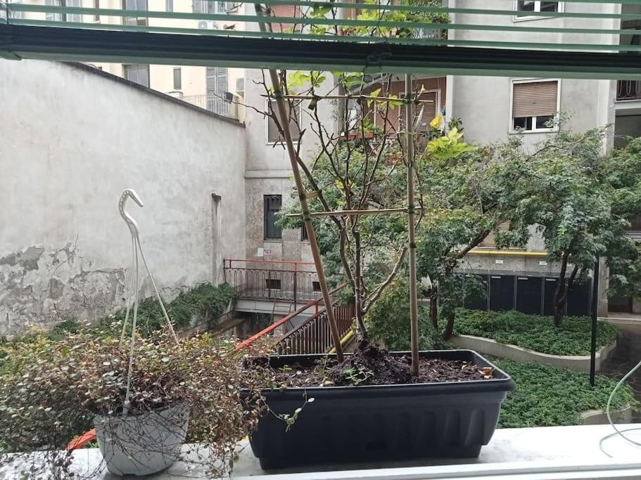 Il Grande Blu Appartement Milaan Buitenkant foto
